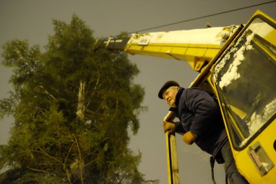 У Чернівцях встановили новорічну ялинку (ФОТО)