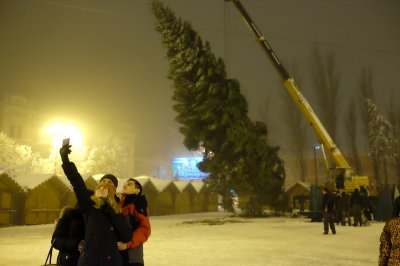 У Чернівцях встановили новорічну ялинку (ФОТО)