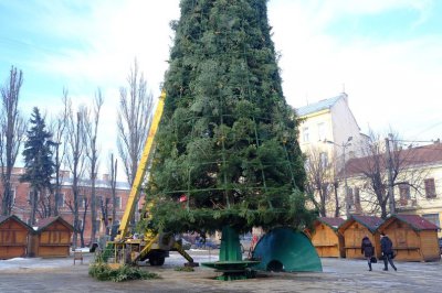 Головну ялинку прикрашають гірляндами та патріотичним дощиком (ФОТО)