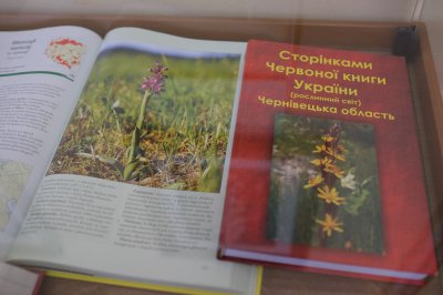 У Чернівцях відкрилася виставка з рідкісними кадрами орхідей області (ФОТО)