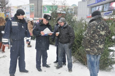 Міліція на Буковині виявила понад 900 незаконних ялинок