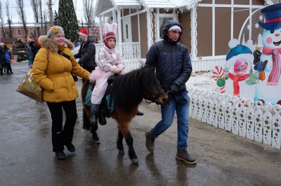 Біля новорічної ялинки їдять шашлики і п’ють глінтвейн (ФОТО)