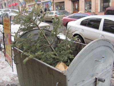 Новорічні ялинки в Чернівцях перероблять на добриво