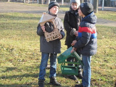 Школярі в Чернівцях власноруч виготовляють годівнички для птахів (ФОТО)