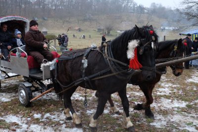 Колядники з усієї Буковини проводжали свята в музеї просто неба (ФОТО)