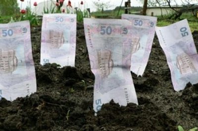 Чернівчани сплатили понад 6 мільйонів гривень за землю