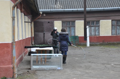 У Чернівцях комунальники отримали нове обладнання для вилову безпритульних собак (ФОТО)