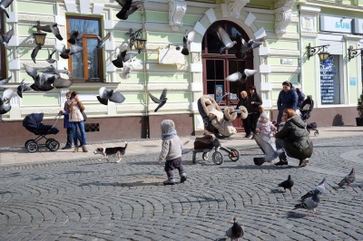 До Чернівців прийшла весна (ФОТО)