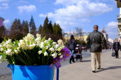 До Чернівців прийшла весна (ФОТО)