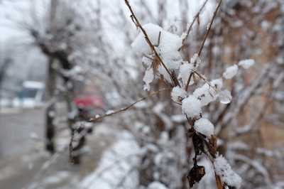 Весняний сніг у Чернівцях (ФОТО)