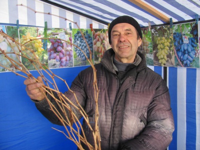 На ярмарку в Чернівцях продають дерево щастя і горіх "бомба" (ФОТО)