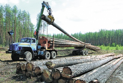 За буковинський ліс, надра і воду сплатили на 7 мільйонів гривень більше податків