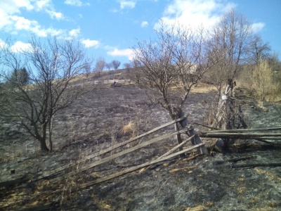 Буковинець загинув, спалюючи на своїй ділянці траву