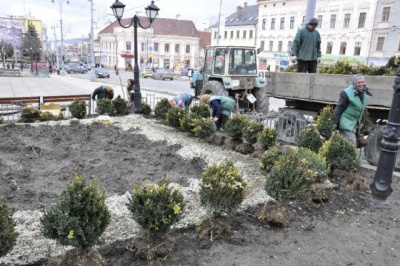 У Чернівцях на зелені насадження виділили 3 млн 880 тисяч гривень