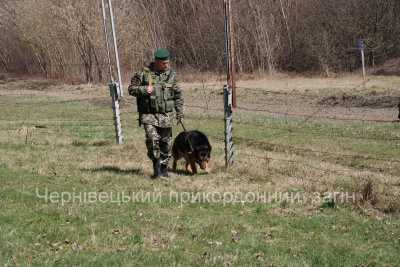 На Буковині у вихідні затримали кілька великих партій контрабандних цигарок