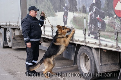 Буковинець позбувся "Мазди" через приховані цигарки