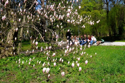 Весна в університетському парку (ФОТО)