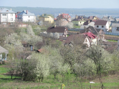 У Чернівцях розпочалося масове цвітіння дерев (ФОТО)