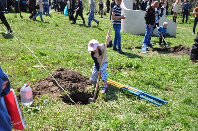 У парку "Жовтневий" висадили 36 дубів на честь загиблих в АТО (ФОТО)