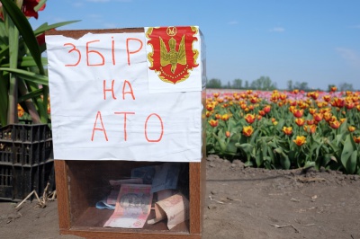 Тюльпанове поле у Мамаївцях за один вихідний день відвідує понад дві тисячі туристів (ФОТО)