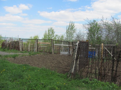 Гравітонівські хащі у Чернівцях (ФОТО)