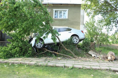 П’яний житель Молдови на Буковині на авто "виліз" на дерево