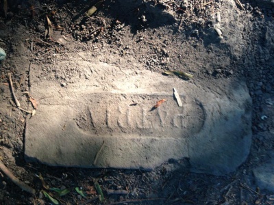 Віднайдено частину пам"ятника першому ректору Чернівецького університету Томащуку