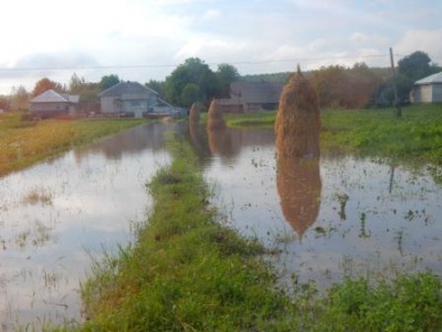 На Вижниччині дощі підтопили 30 господарств