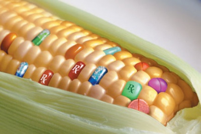 Наслідки вживання ГМО продуктів