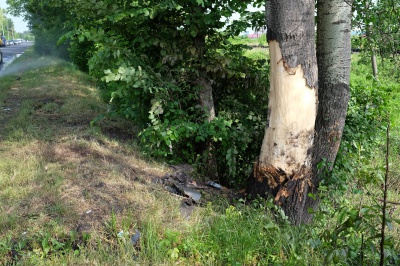 У Чернівцях авто на швидкості врізалося в дерево (ФОТО)