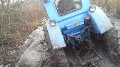 П'ять новин, які ви могли пропустити