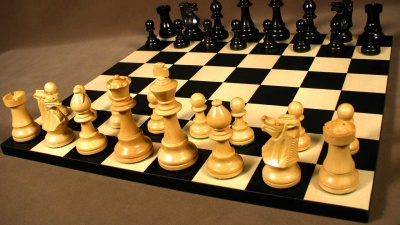 Шаховий турнір у Чернівцях виграв чемпіон області