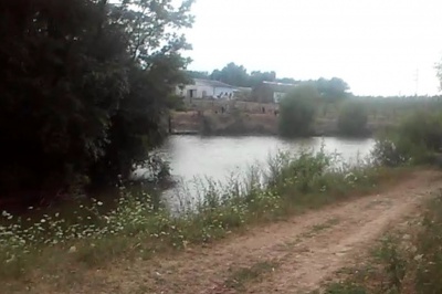Нелегальна праця в туалеті, епідемія смертей на воді та повістки інвалідам: 5 новин, які ви могли пропустити