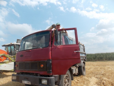 На Буковині активно збирають урожай зернових (ФОТО)