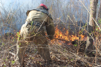 У "Чорнобильській пущі" знову почалися пожежі