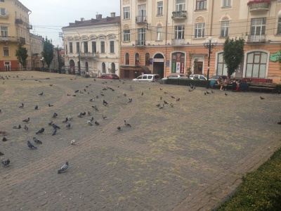 Площа Філармонії в Чернівцях заросла травою (ФОТО)