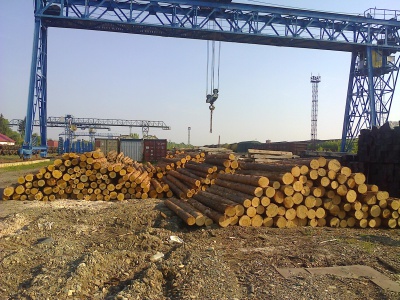  Митники Буковини попередили спробу незаконного експорту лісоматеріалів