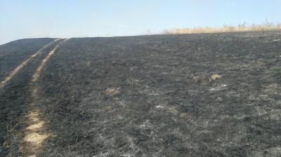 На Буковині у масштабній пожежі згоріли кілька гектарів поля (ВІДЕО)