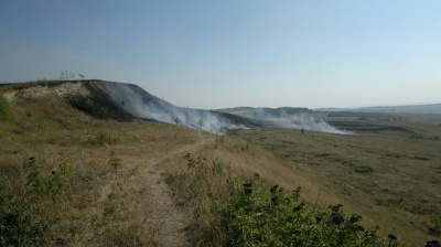 На Буковині у масштабній пожежі згоріли кілька гектарів поля (ВІДЕО)