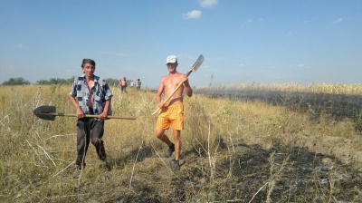 На Буковині у масштабній пожежі згоріли кілька гектарів поля (ВІДЕО)