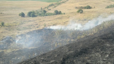 На Буковині у масштабній пожежі згоріли кілька гектарів поля (ВІДЕО)