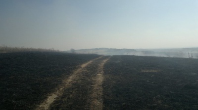 На Буковині у масштабній пожежі згоріли кілька гектарів поля (ВІДЕО)