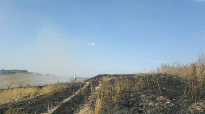 На Буковині у масштабній пожежі згоріли кілька гектарів поля (ВІДЕО)