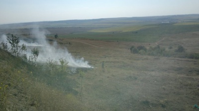 На Буковині у масштабній пожежі згоріли кілька гектарів поля (ВІДЕО)