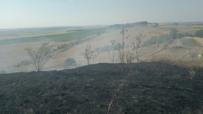 На Буковині у масштабній пожежі згоріли кілька гектарів поля (ВІДЕО)