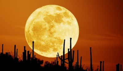 Сьогодні вночі можна буде побачити «Кривавий Місяць»