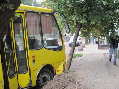 У центрі Чернівців автобус зупинило дерево (ФОТО)