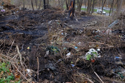 З’явилися світлини з пожежі на історичному кладовищі Чернівців (ФОТО)