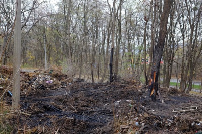 З’явилися світлини з пожежі на історичному кладовищі Чернівців (ФОТО)