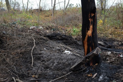 З’явилися світлини з пожежі на історичному кладовищі Чернівців (ФОТО)